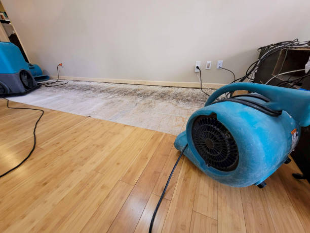 Reliable Basement Flood Cleanup contractor in Albertville, MN by Hirex Water Damage