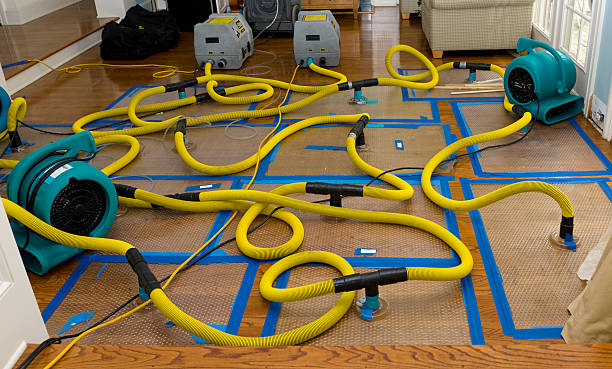 Professional Basement Flood Cleanup technician working in Albertville, MN
